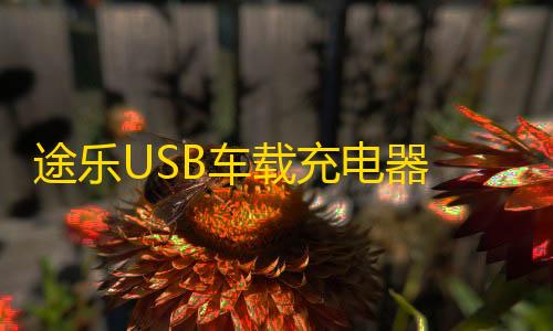 途乐USB车载充电器 涂乐快充USB接口改装配件车载USB充电口