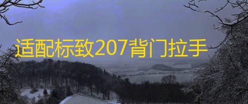 适配标致207背门拉手 标志206汽车后备箱拉手背门驱动器电机配件