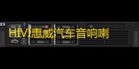 HIVI惠威汽车音响喇叭改装6.5寸套装扬声器D620II专业级人声震撼